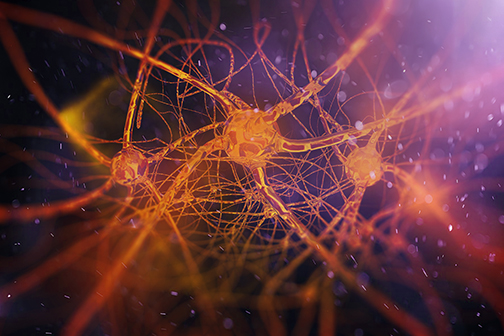 neurons illustration